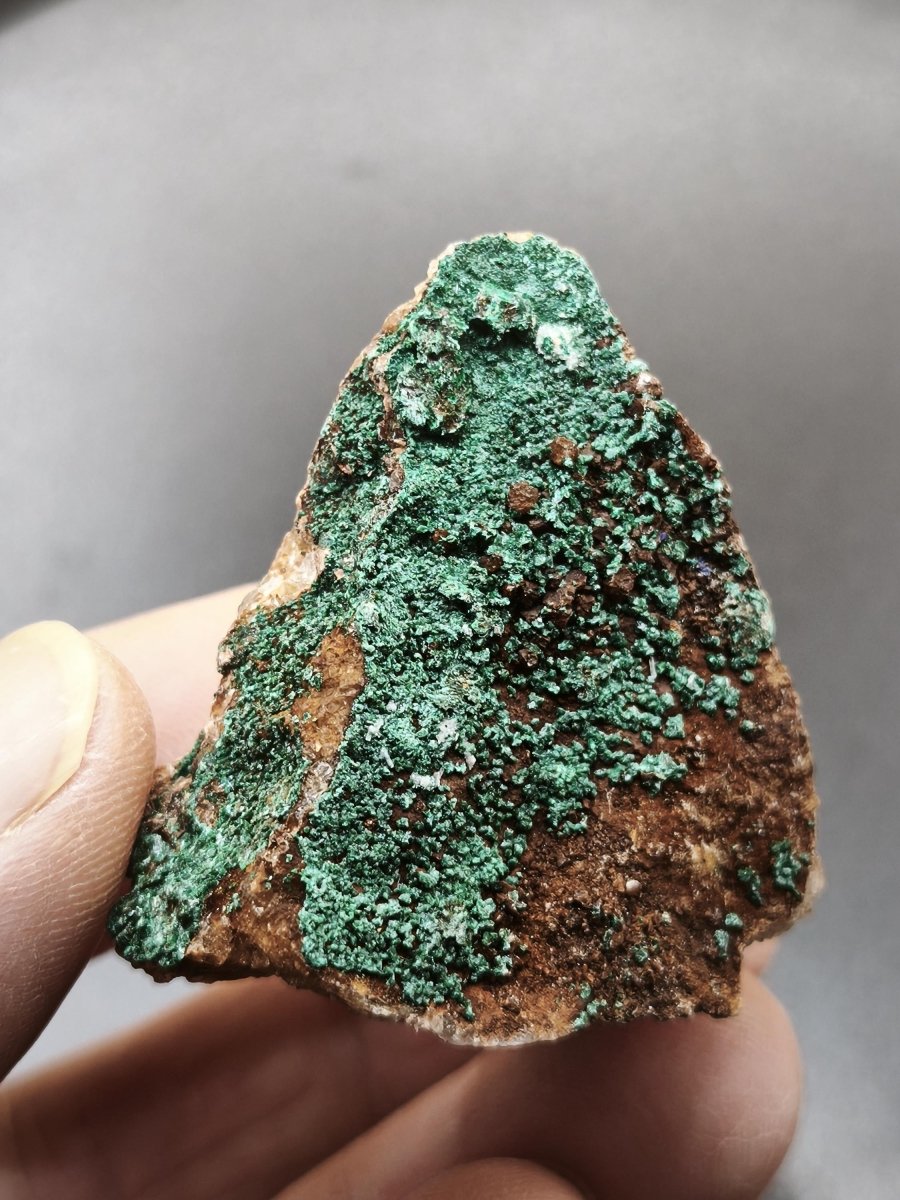 Chrysokoll Stufe auf braun-weißer Quarzmatrix – aus Marokko Edelstein Mineral Sammler Natur Grün Heilstein Unikat Rarität Geschenk Sammler - Art of Nature Berlin