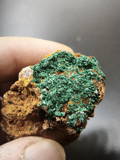 Chrysokoll Stufe auf braun-weißer Quarzmatrix – aus Marokko Edelstein Mineral Sammler Natur Grün Heilstein Unikat Rarität Geschenk Sammler - Art of Nature Berlin