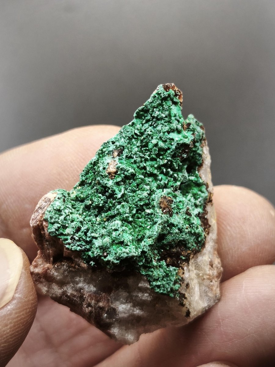 Chrysokoll Stufe auf braun-weißer Quarzmatrix – aus Marokko Edelstein Mineral Sammler Natur Grün Heilstein Unikat Rarität Geschenk Sammler - Art of Nature Berlin