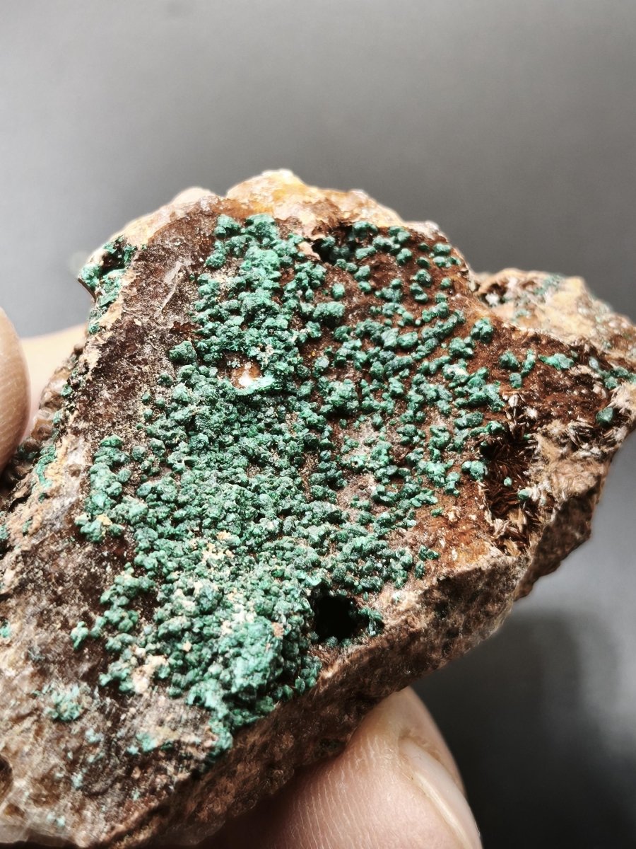 Chrysokoll Stufe auf braun-weißer Quarzmatrix – aus Marokko Edelstein Mineral Sammler Natur Grün Heilstein Unikat Rarität Geschenk Sammler - Art of Nature Berlin