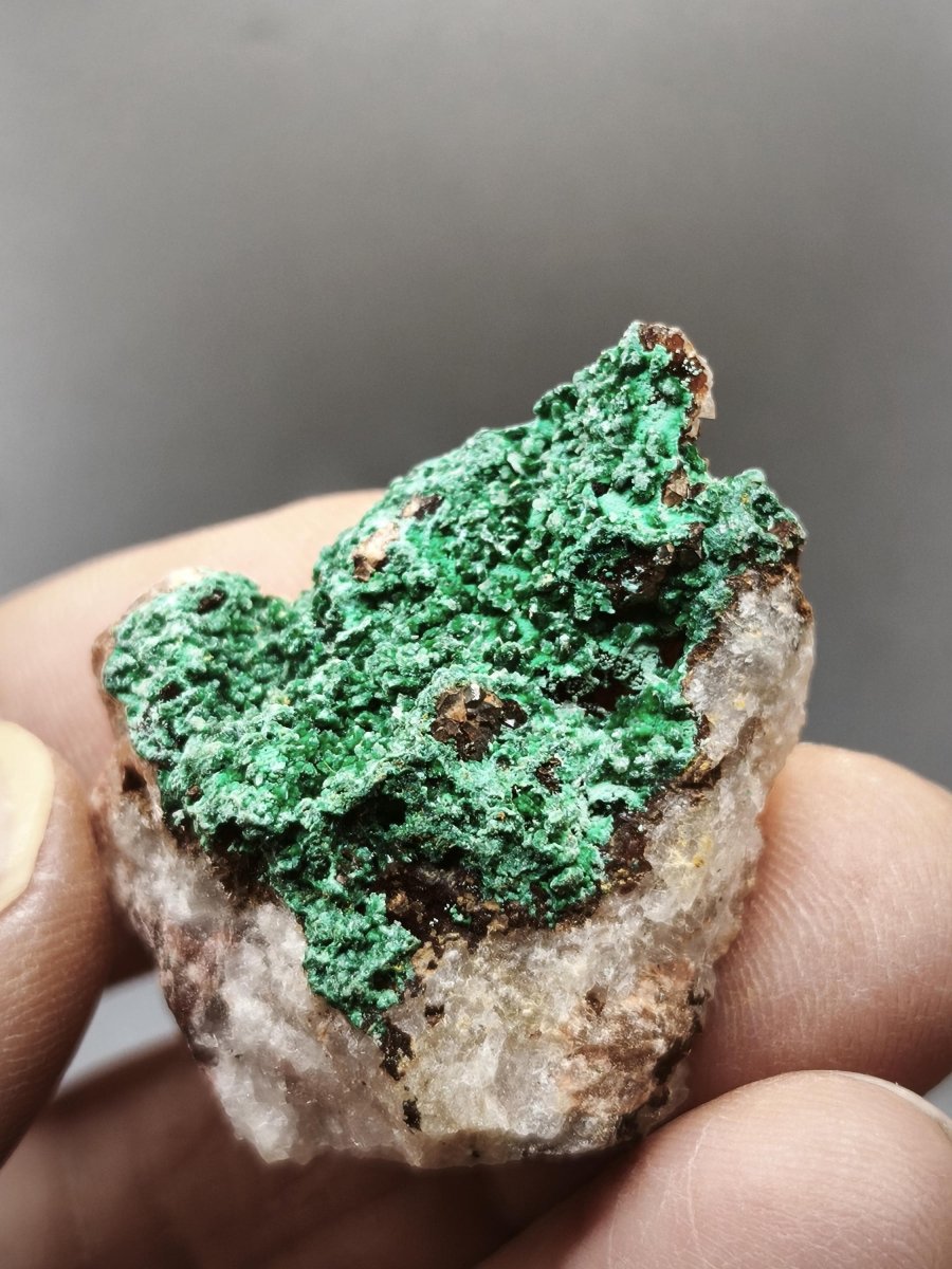 Chrysokoll Stufe auf braun-weißer Quarzmatrix – aus Marokko Edelstein Mineral Sammler Natur Grün Heilstein Unikat Rarität Geschenk Sammler - Art of Nature Berlin