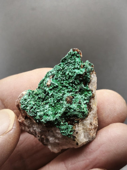 Chrysokoll Stufe auf braun-weißer Quarzmatrix – aus Marokko Edelstein Mineral Sammler Natur Grün Heilstein Unikat Rarität Geschenk Sammler - Art of Nature Berlin