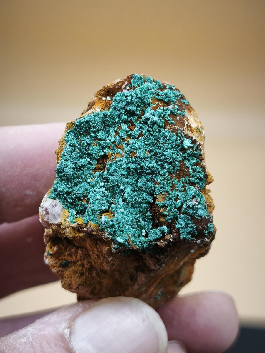 Chrysokoll Stufe auf braun-weißer Quarzmatrix – aus Marokko Edelstein Mineral Sammler Natur Grün Heilstein Unikat Rarität Geschenk Sammler - Art of Nature Berlin