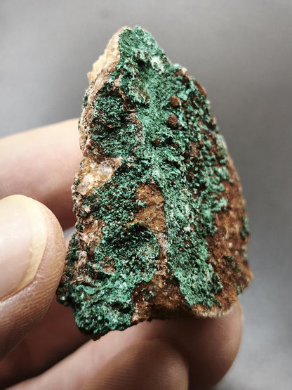 Chrysokoll Stufe auf braun-weißer Quarzmatrix – aus Marokko Edelstein Mineral Sammler Natur Grün Heilstein Unikat Rarität Geschenk Sammler - Art of Nature Berlin