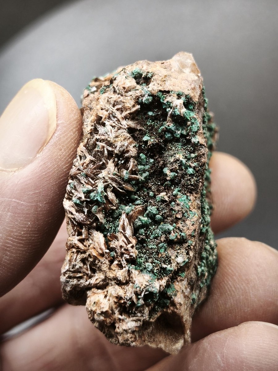 Chrysokoll Stufe auf braun-weißer Quarzmatrix – aus Marokko Edelstein Mineral Sammler Natur Grün Heilstein Unikat Rarität Geschenk Sammler - Art of Nature Berlin