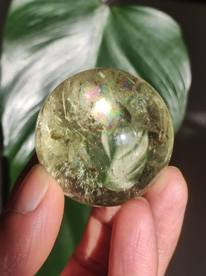 Citrin A ~ Magische Edelstein Kugel Massage & Deko Sphere Kristall Geschenk Meditation Heilstein Natur gelb klar transparent - Art of Nature Berlin