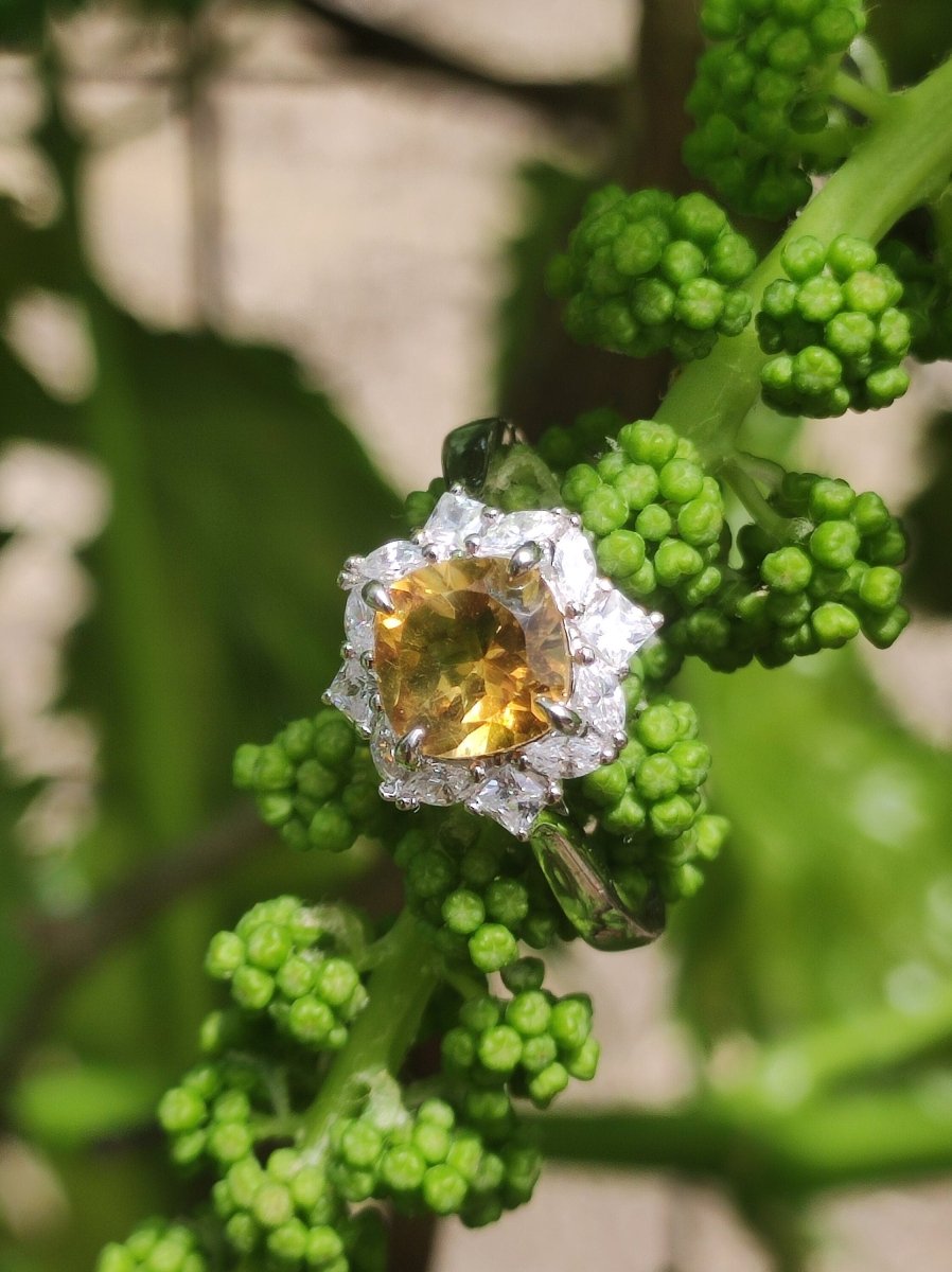 Citrin AAA - 925 Silber Ring verstellbar - Edelstein gelb Natur Heilstein Energie Vintage Frau Ring Hochwertig Geschenk Sie Frau Mutter - Art of Nature Berlin