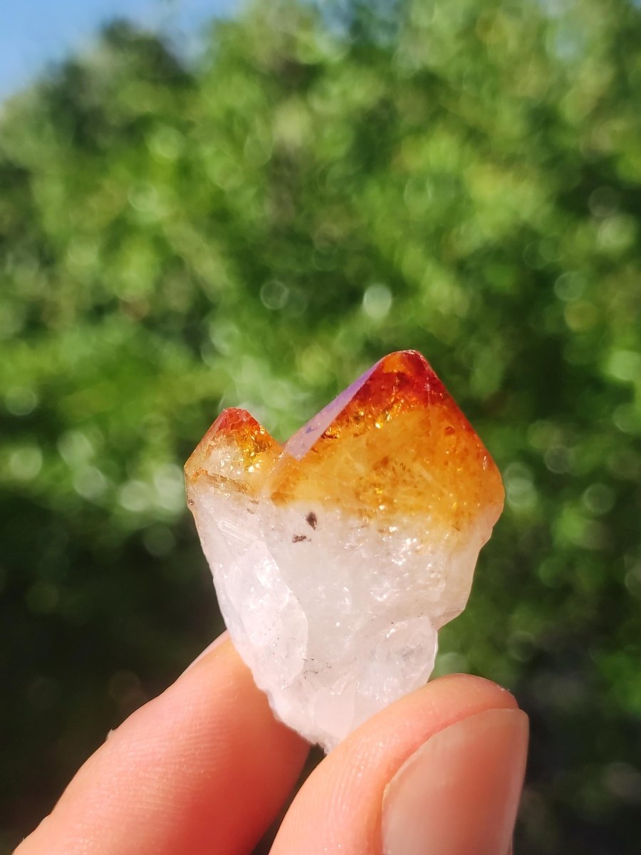 Citrin roh Stufe Tropfen Kristall Spitze Point Sammler Rarität Edelstein Deko Heilstein Mineral Energie Natur Meditation Makramee - Art of Nature Berlin