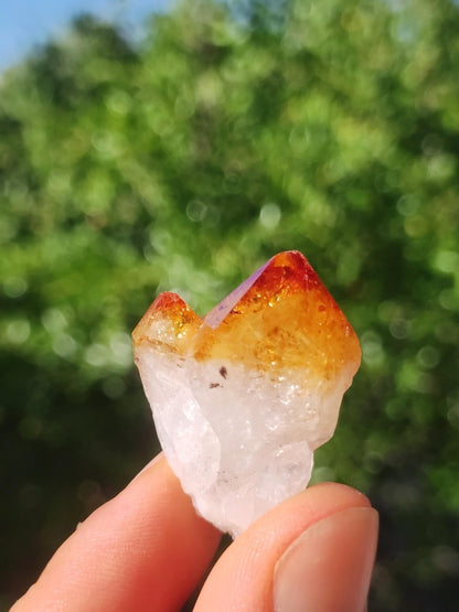 Citrin roh Stufe Tropfen Kristall Spitze Point Sammler Rarität Edelstein Deko Heilstein Mineral Energie Natur Meditation Makramee - Art of Nature Berlin