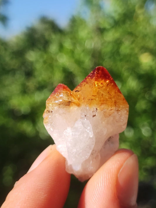 Citrin roh Stufe Tropfen Kristall Spitze Point Sammler Rarität Edelstein Deko Heilstein Mineral Energie Natur Meditation Makramee - Art of Nature Berlin