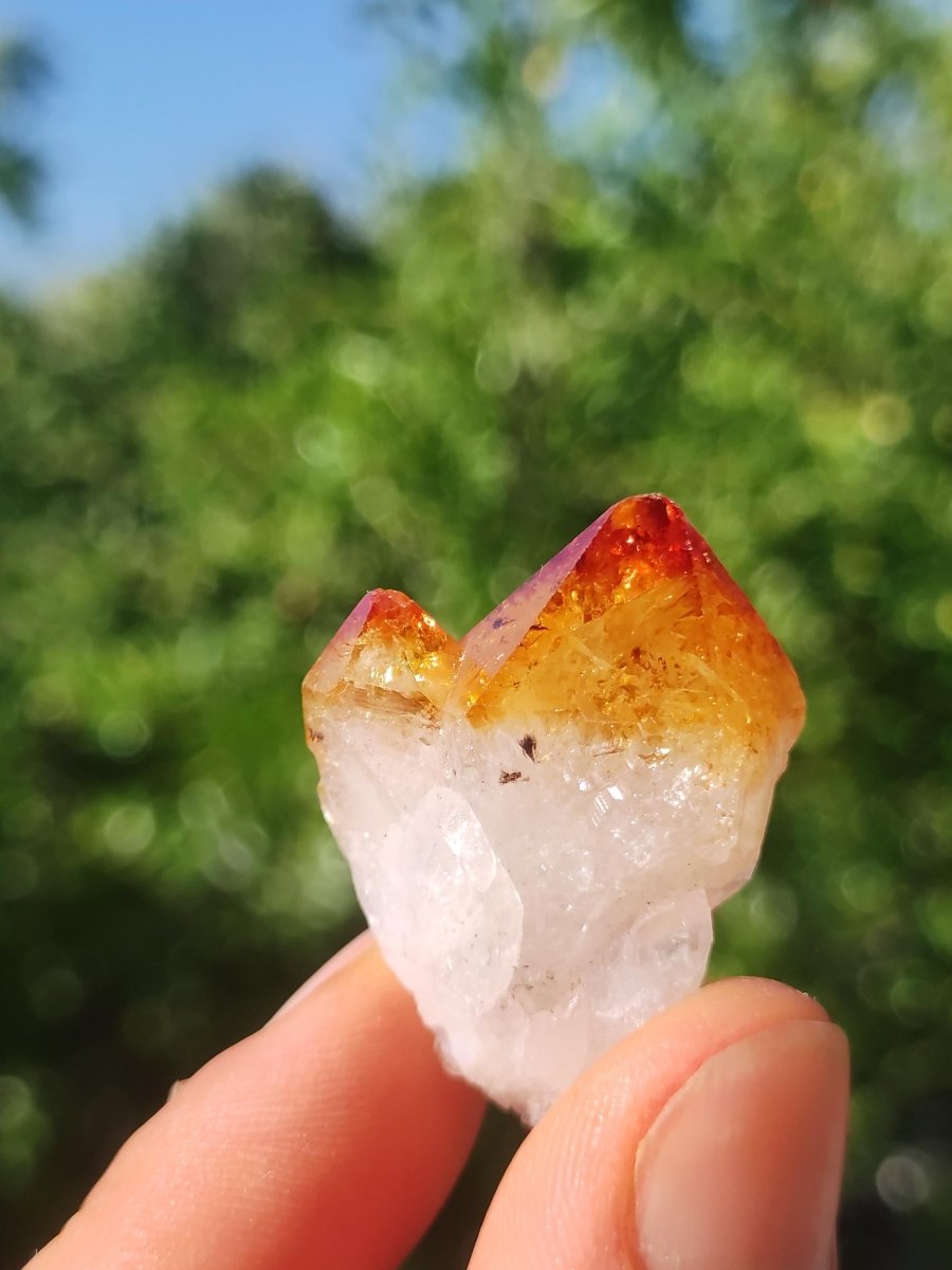 Citrin roh Stufe Tropfen Kristall Spitze Point Sammler Rarität Edelstein Deko Heilstein Mineral Energie Natur Meditation Makramee - Art of Nature Berlin