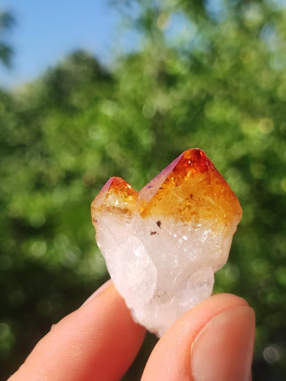 Citrin roh Stufe Tropfen Kristall Spitze Point Sammler Rarität Edelstein Deko Heilstein Mineral Energie Natur Meditation Makramee - Art of Nature Berlin