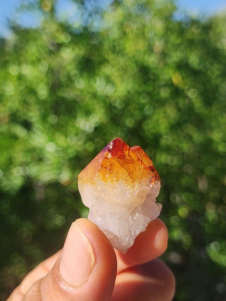 Citrin roh Stufe Tropfen Kristall Spitze Point Sammler Rarität Edelstein Deko Heilstein Mineral Energie Natur Meditation Makramee - Art of Nature Berlin