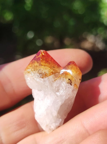 Citrin roh Stufe Tropfen Kristall Spitze Point Sammler Rarität Edelstein Deko Heilstein Mineral Energie Natur Meditation Makramee - Art of Nature Berlin