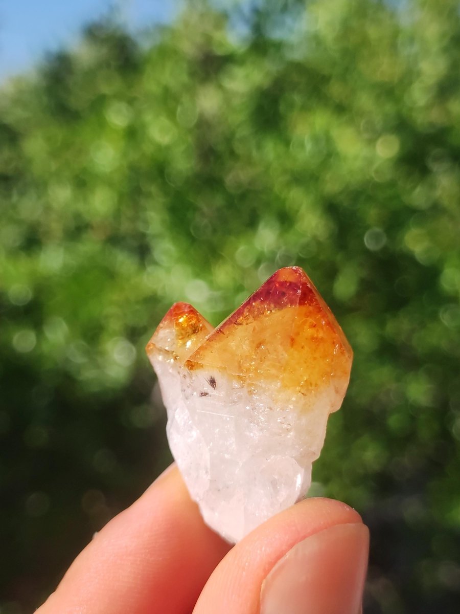 Citrin roh Stufe Tropfen Kristall Spitze Point Sammler Rarität Edelstein Deko Heilstein Mineral Energie Natur Meditation Makramee - Art of Nature Berlin