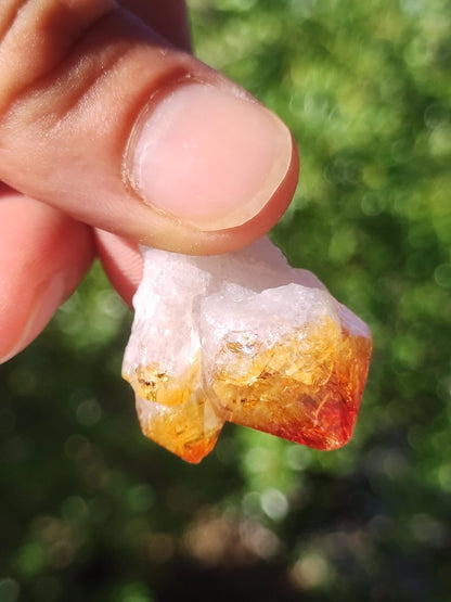 Citrin roh Stufe Tropfen Kristall Spitze Point Sammler Rarität Edelstein Deko Heilstein Mineral Energie Natur Meditation Makramee - Art of Nature Berlin