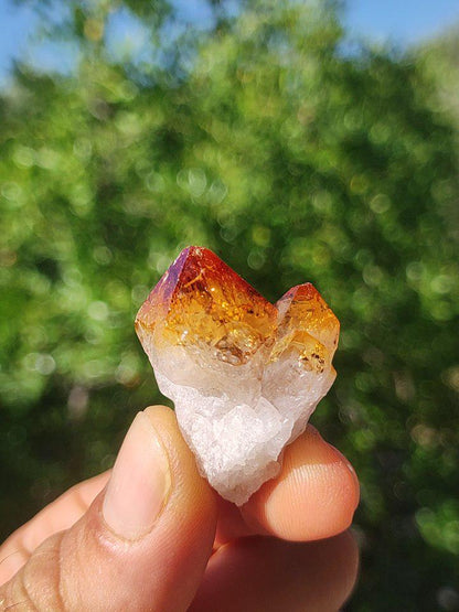 Citrin roh Stufe Tropfen Kristall Spitze Point Sammler Rarität Edelstein Deko Heilstein Mineral Energie Natur Meditation Makramee - Art of Nature Berlin