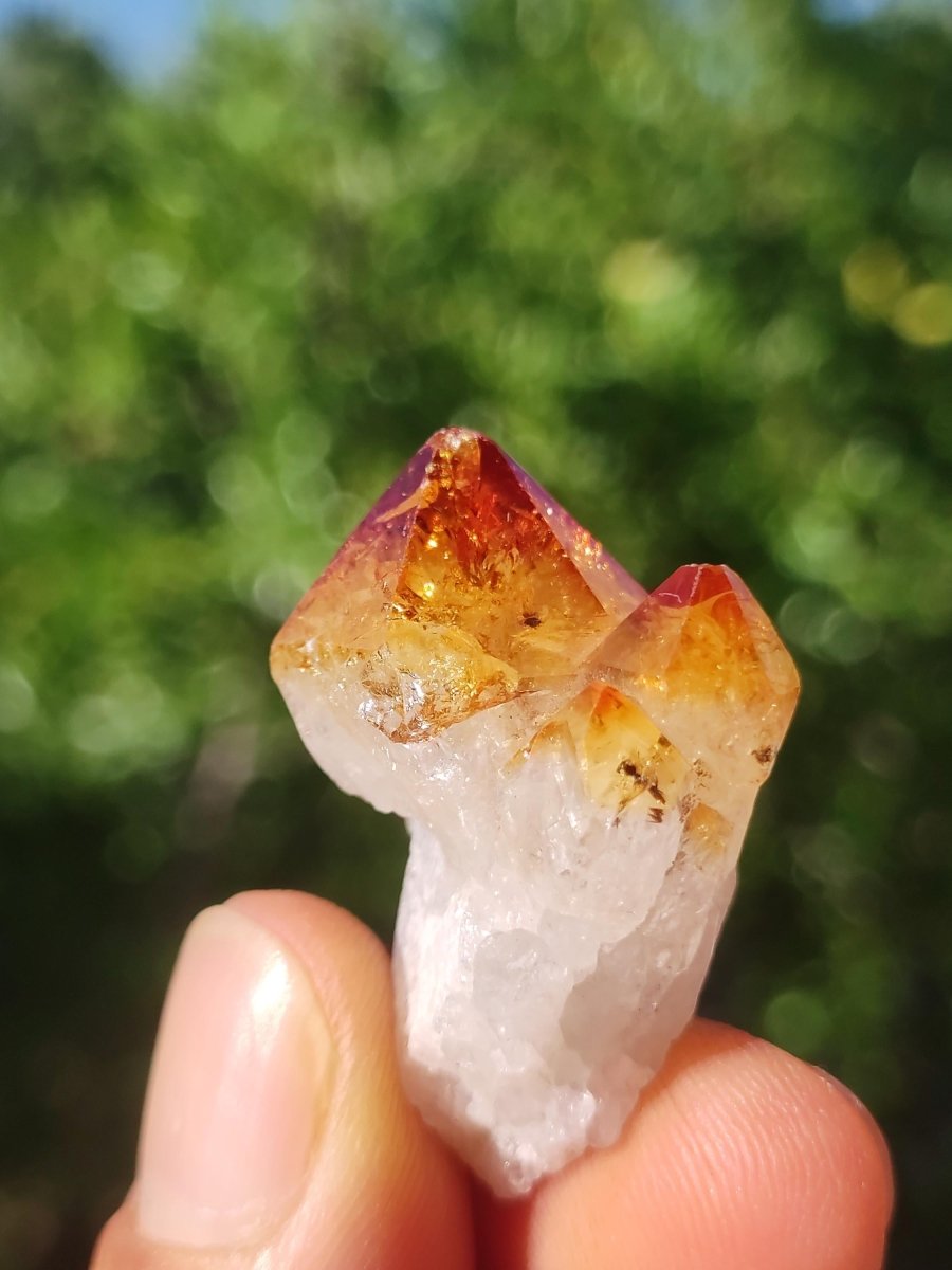 Citrin roh Stufe Tropfen Kristall Spitze Point Sammler Rarität Edelstein Deko Heilstein Mineral Energie Natur Meditation Makramee - Art of Nature Berlin