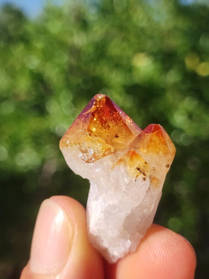 Citrin roh Stufe Tropfen Kristall Spitze Point Sammler Rarität Edelstein Deko Heilstein Mineral Energie Natur Meditation Makramee - Art of Nature Berlin