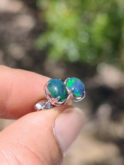 Ethiopian Black Opal AAA - 925 Sterling Silber bunt Ohrstecker Ohrringe Edelstein Heilstein Energie Frau Geschenk Schmuck Edel Rarität - Art of Nature Berlin