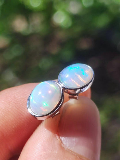 Ethiopian Opal AAA - 925 Sterling Silber Ohrstecker bunt Ohrringe Edelstein Heilstein Energie Frau Geschenk Schmuck Hochwertig Edel Rarität - Art of Nature Berlin