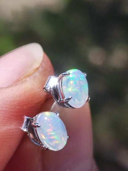 Ethiopian Opal AAA - 925 Sterling Silber Ohrstecker bunt Ohrringe Edelstein Heilstein Energie Frau Geschenk Schmuck Hochwertig Edel Rarität - Art of Nature Berlin