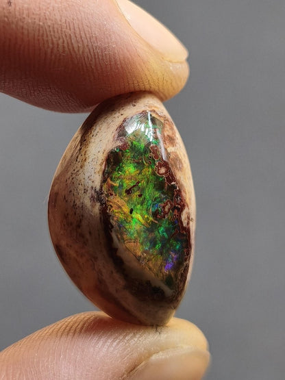 Feuer Opal Mexiko Cantera AAA Sammlerstein Mineralien Kristalle Kollektion Cabochon natürlich Heilstein Rarität Muster Selten Bunt Traumhaft - Art of Nature Berlin