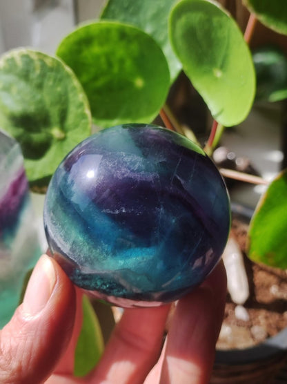 Fluorit Regenbogen Edelstein Kugel Deko Sphere Massage Kristall Spielkugel Meditation Heilstein Frau Mann Geschenk Er Sie Haus Energie Traum - Art of Nature Berlin