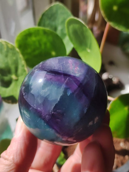 Fluorit Regenbogen Edelstein Kugel Deko Sphere Massage Kristall Spielkugel Meditation Heilstein Frau Mann Geschenk Er Sie Haus Energie Traum - Art of Nature Berlin