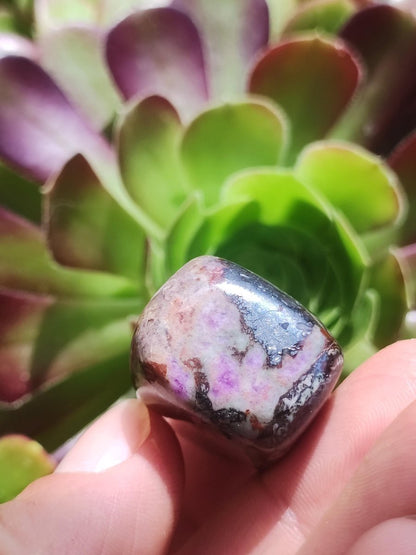 Gel Sugilith - Sammler Deko Heilstein lila Handschmeichler Rarität Meditation Energie Edelstein Kristall Investition Wertanlage Natur Unikat - Art of Nature Berlin