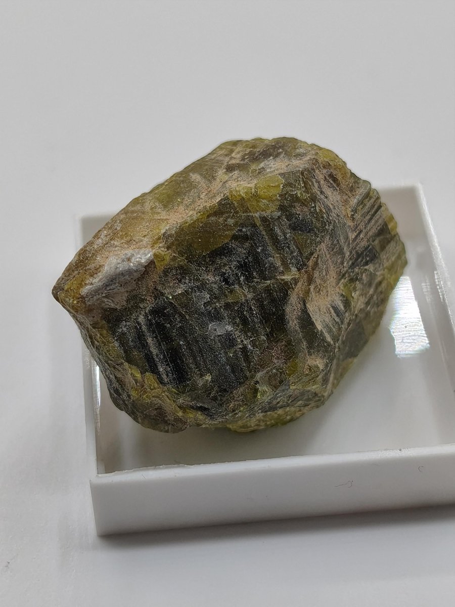 Grüner Beryll Rohkristall 30 mm | Olivgrüner Naturkristall | Seltenes Sammlermineral | Unikat Naturmineral Sammlerstück Selten Kristall - Art of Nature Berlin