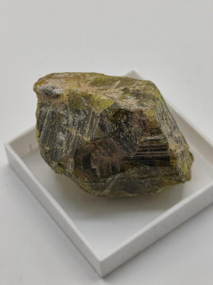 Grüner Beryll Rohkristall 30 mm | Olivgrüner Naturkristall | Seltenes Sammlermineral | Unikat Naturmineral Sammlerstück Selten Kristall - Art of Nature Berlin