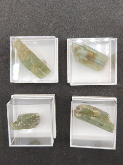 Grüner Cyanit Kristall 25–28 mm | Natürlicher Kyanit Rohstein | Disthen | Mineraliem Stufe Kristall Sammler roh Kristall Edelstein Deko - Art of Nature Berlin