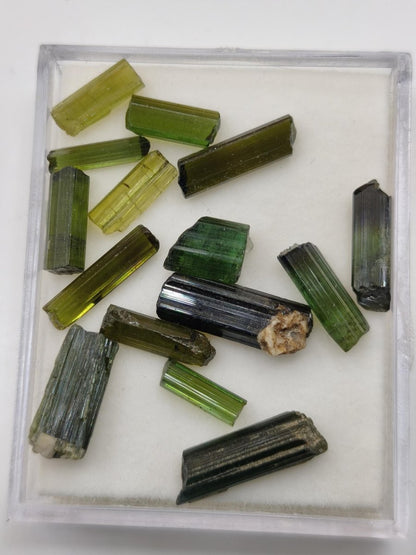 Grüner Turmalin 25ct LOT 15x AAA Qualität Roh Stifte Rarität Selten Mineral Brasilien Sammler Stufen Edelstein Deko Kristall Heilstein - Art of Nature Berlin