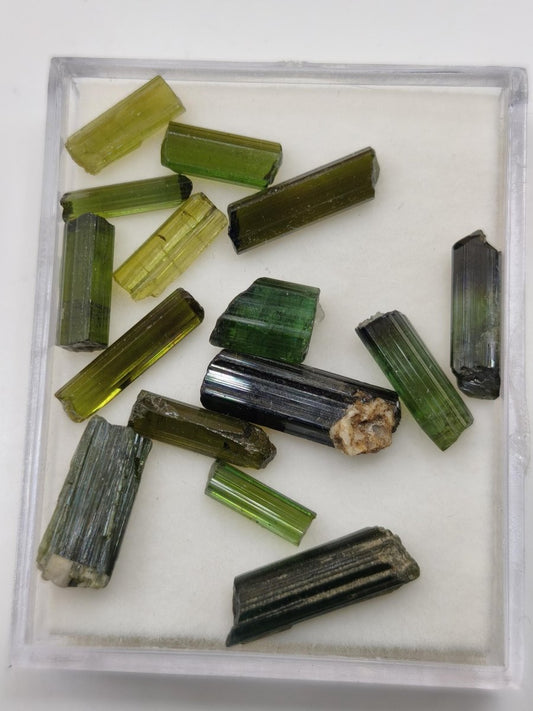 Grüner Turmalin 25ct LOT 15x AAA Qualität Roh Stifte Rarität Selten Mineral Brasilien Sammler Stufen Edelstein Deko Kristall Heilstein - Art of Nature Berlin