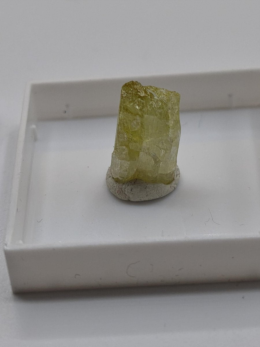 Grüner Turmalin Rohkristall – Seltene helle Farbgebung | 2 Unikate zur Wahl Kristalle & Mineralien Sammler Stufen Edelstein Deko Kristall - Art of Nature Berlin
