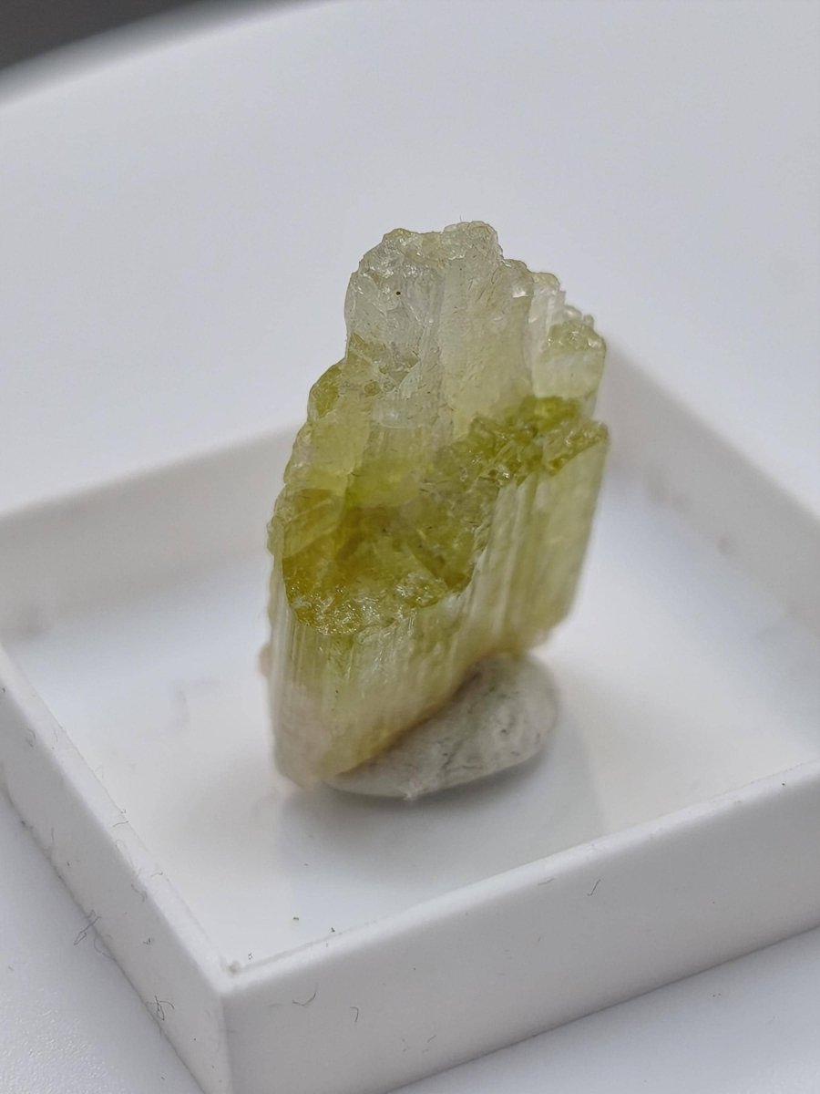 Grüner Turmalin Rohkristall – Seltene helle Farbgebung | 2 Unikate zur Wahl Kristalle & Mineralien Sammler Stufen Edelstein Deko Kristall - Art of Nature Berlin