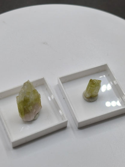 Grüner Turmalin Rohkristall – Seltene helle Farbgebung | 2 Unikate zur Wahl Kristalle & Mineralien Sammler Stufen Edelstein Deko Kristall - Art of Nature Berlin