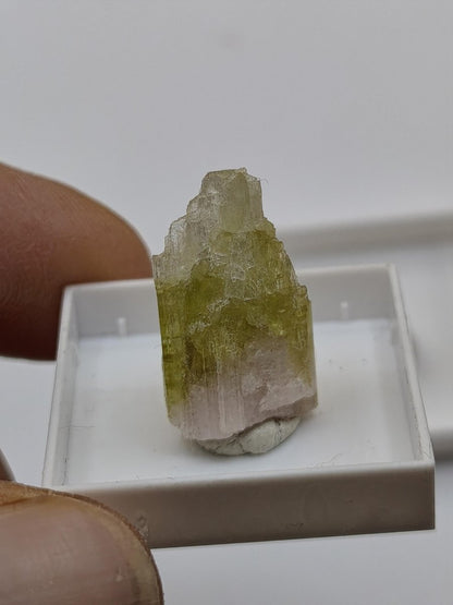 Grüner Turmalin Rohkristall – Seltene helle Farbgebung | 2 Unikate zur Wahl Kristalle & Mineralien Sammler Stufen Edelstein Deko Kristall - Art of Nature Berlin