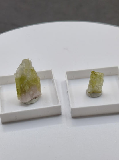 Grüner Turmalin Rohkristall – Seltene helle Farbgebung | 2 Unikate zur Wahl Kristalle & Mineralien Sammler Stufen Edelstein Deko Kristall - Art of Nature Berlin