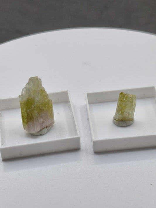 Grüner Turmalin Rohkristall – Seltene helle Farbgebung | 2 Unikate zur Wahl Kristalle & Mineralien Sammler Stufen Edelstein Deko Kristall - Art of Nature Berlin