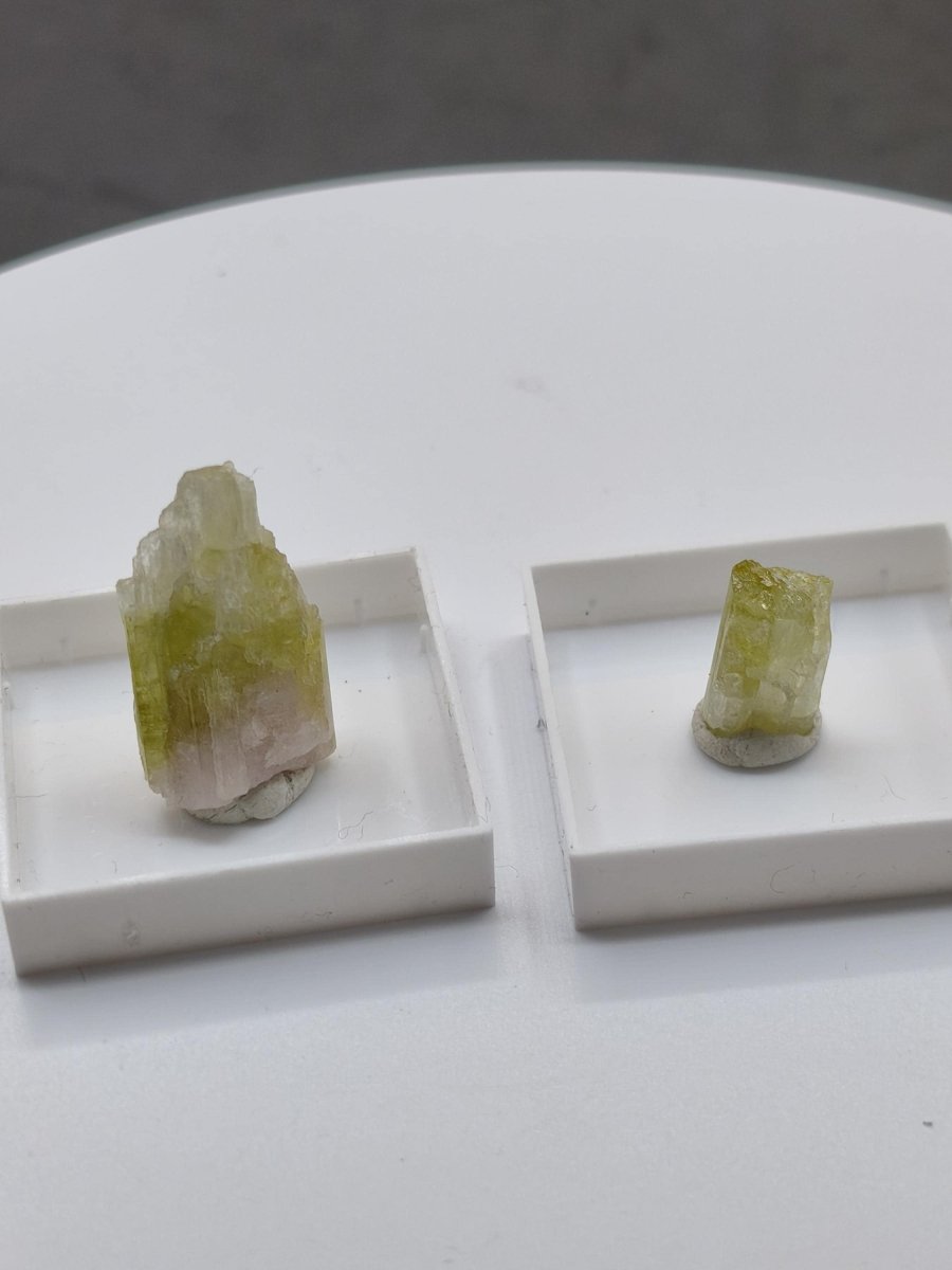 Grüner Turmalin Rohkristall – Seltene helle Farbgebung | 2 Unikate zur Wahl Kristalle & Mineralien Sammler Stufen Edelstein Deko Kristall - Art of Nature Berlin