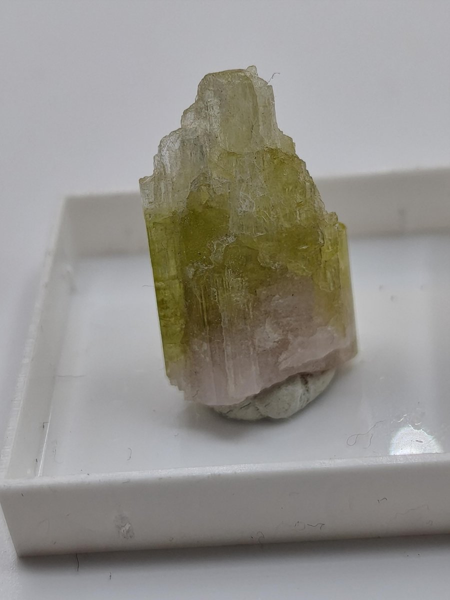 Grüner Turmalin Rohkristall – Seltene helle Farbgebung | 2 Unikate zur Wahl Kristalle & Mineralien Sammler Stufen Edelstein Deko Kristall - Art of Nature Berlin