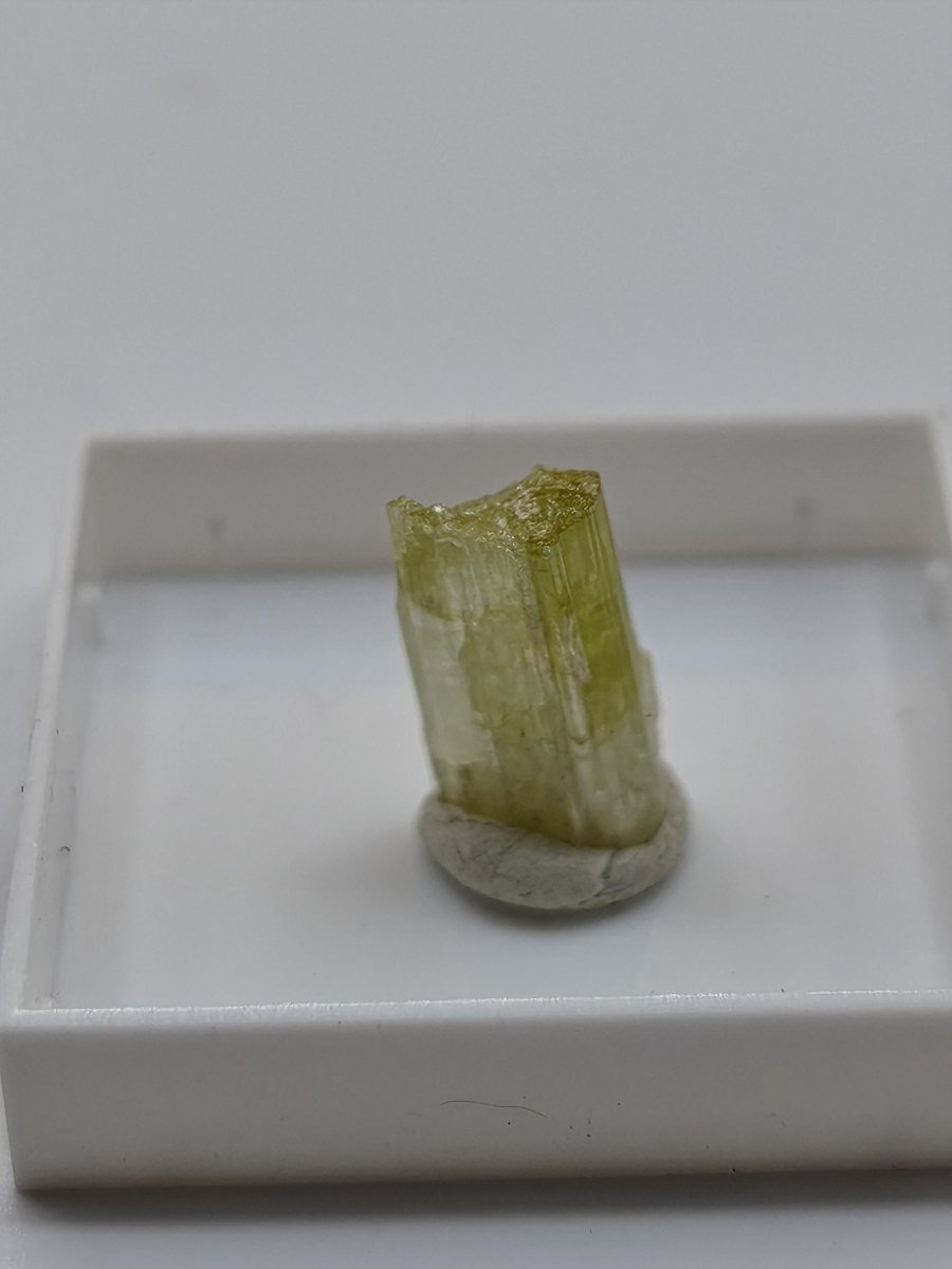 Grüner Turmalin Rohkristall – Seltene helle Farbgebung | 2 Unikate zur Wahl Kristalle & Mineralien Sammler Stufen Edelstein Deko Kristall - Art of Nature Berlin
