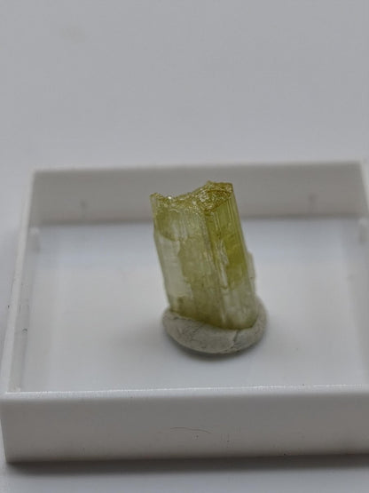 Grüner Turmalin Rohkristall – Seltene helle Farbgebung | 2 Unikate zur Wahl Kristalle & Mineralien Sammler Stufen Edelstein Deko Kristall - Art of Nature Berlin