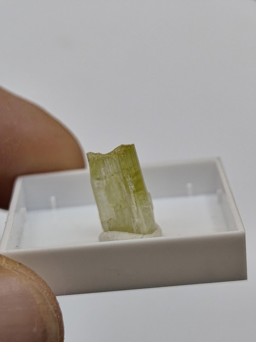 Grüner Turmalin Rohkristall – Seltene helle Farbgebung | 2 Unikate zur Wahl Kristalle & Mineralien Sammler Stufen Edelstein Deko Kristall - Art of Nature Berlin