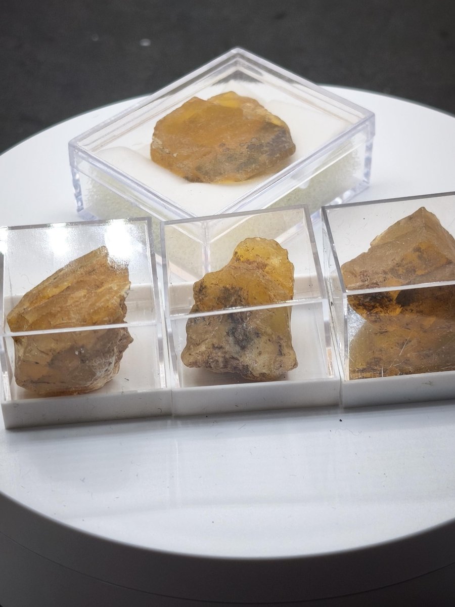 Honigopal Rohsteine aus Tansania – 4 Unikate zur Auswahl – 26–29 mm Mineralien Sammler Stufen Edelstein Deko Kristall Heilstein Geschenk - Art of Nature Berlin