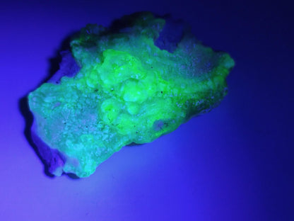 Hyalit Opal Namibia | UV aktiver Hyalit mit neongrüner Fluoreszenz | Traubige Mineralstufe Erongo| Sammler mineral Kristall Rarität - Art of Nature Berlin