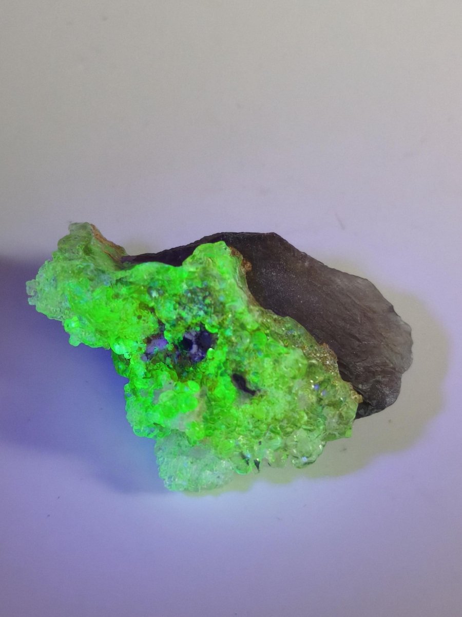 Hyalit Opal Namibia | UV aktiver Hyalit mit neongrüner Fluoreszenz | Traubige Mineralstufe Erongo| Sammler mineral Kristall Rarität - Art of Nature Berlin