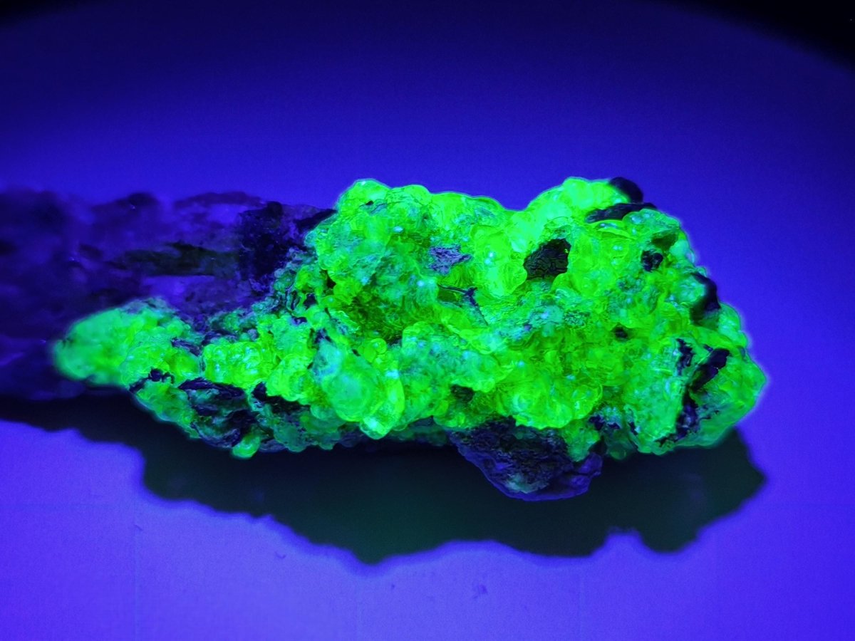Hyalit Opal Namibia | UV aktiver Hyalit mit neongrüner Fluoreszenz | Traubige Mineralstufe Erongo| Sammler mineral Kristall Rarität - Art of Nature Berlin